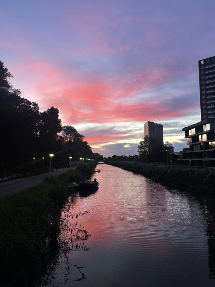 An Amsterdam canal basks in the bright pink morning sky