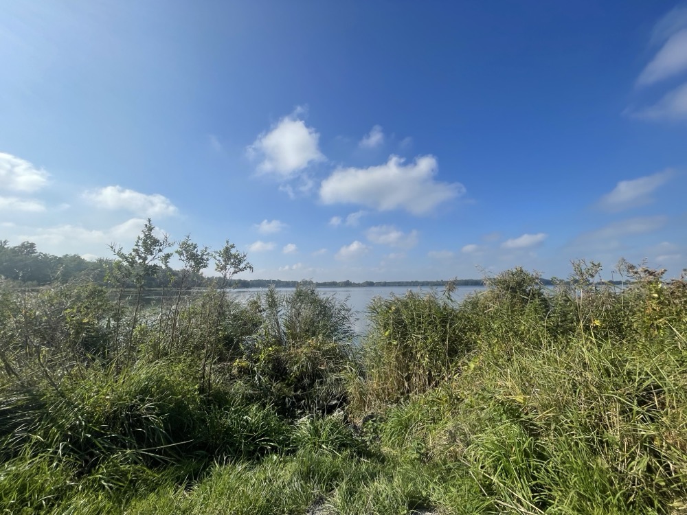 A quiet view of a lake in Het Twiske